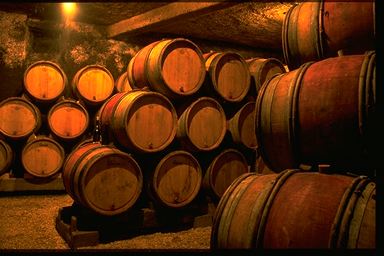 Futs en cave, vignobles de Bourgogne