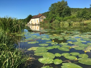 canal-de-bourgogne-velo-maison-eclusiere-vallee